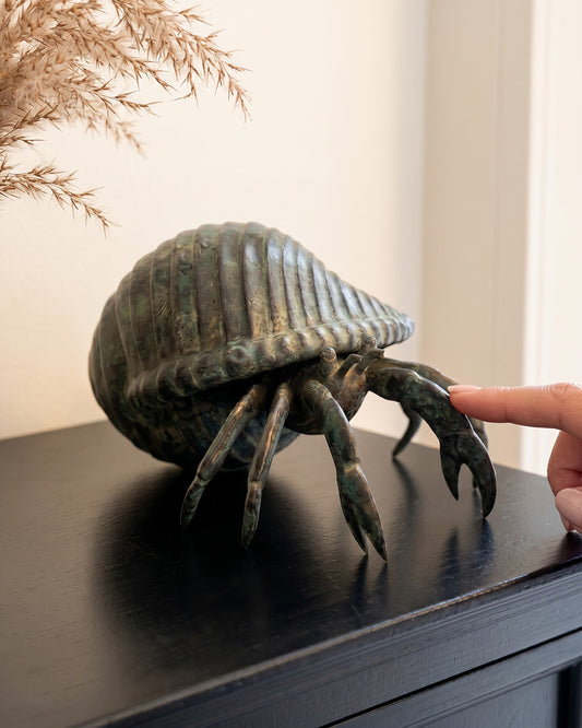 Scale Of The Bronze Tidal Voyager Hermit Crab