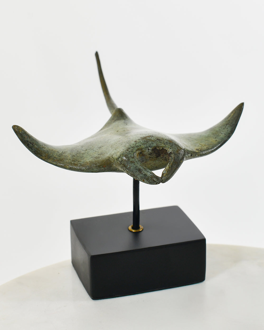 Close Up Of The Manta Ray Sculpture