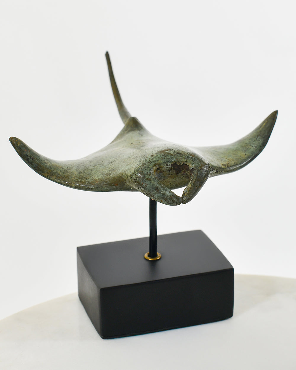 Front Of The Bronze Aetheris Manta Ray