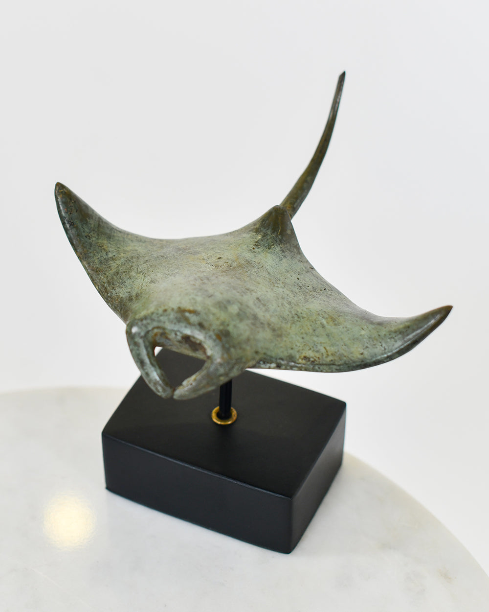 Top Of The Aetheris Manta Ray Sculpture