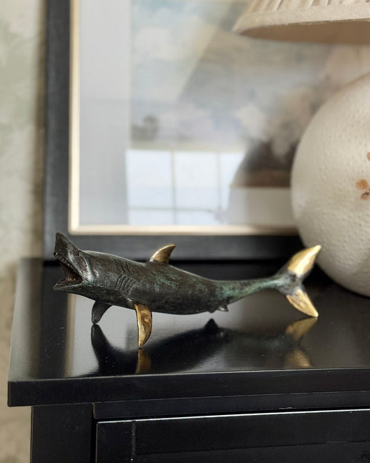 Bronze Apex Carcharodon