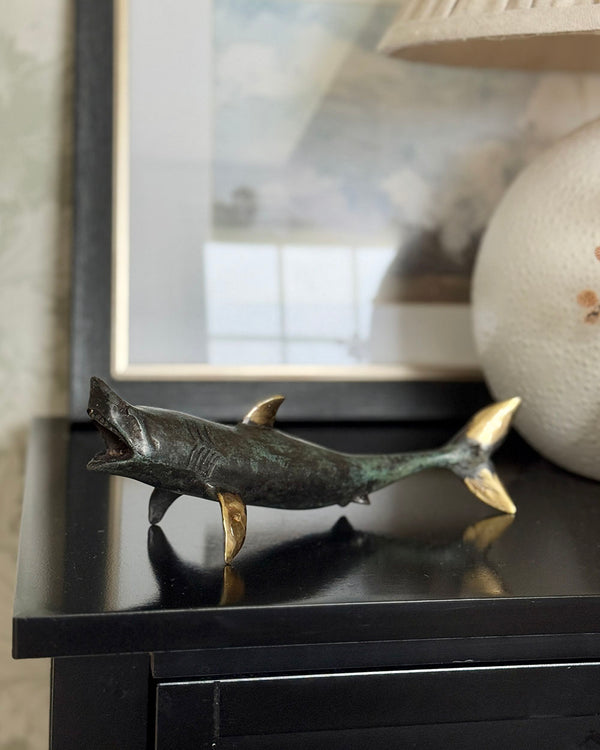 Bronze Apex Carcharodon
