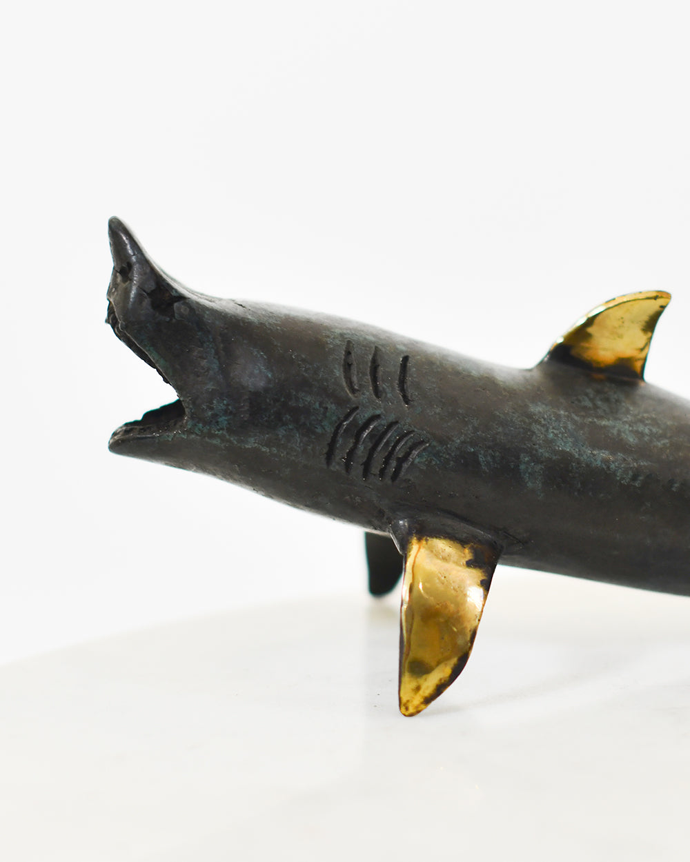 Intricate Bronze Apex Carcharodon