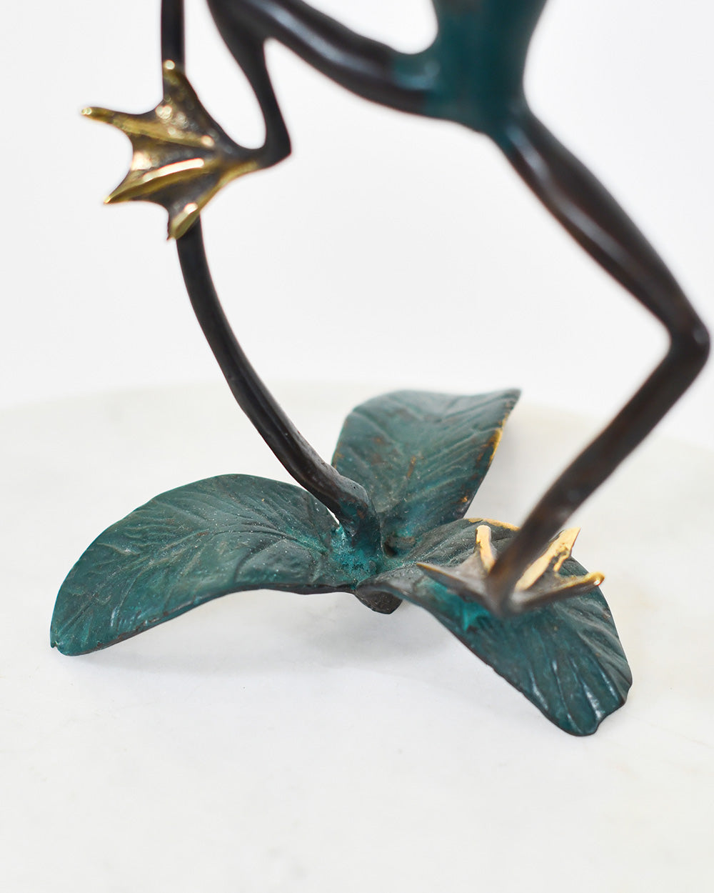 Intricate Details From The Bronze Canopy Climber Tree Frog Decoration
