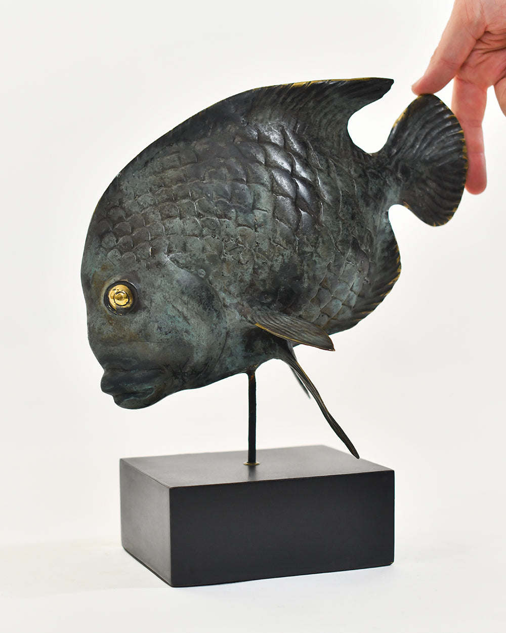 Bronze Fish Home Ornament To Scale