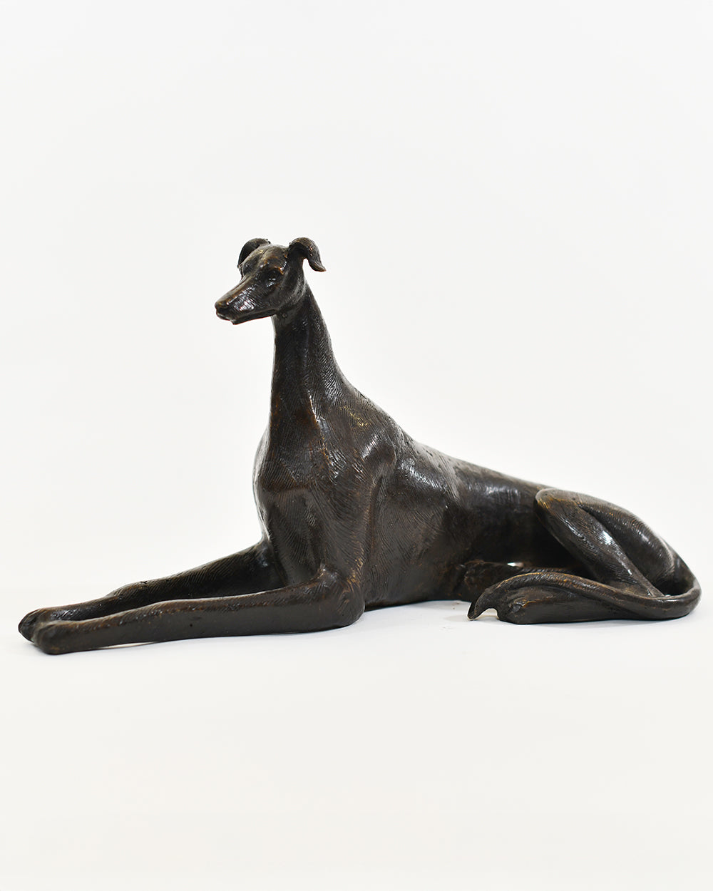 Bronze Elegant Greyhound With Vibrant Brass Hues