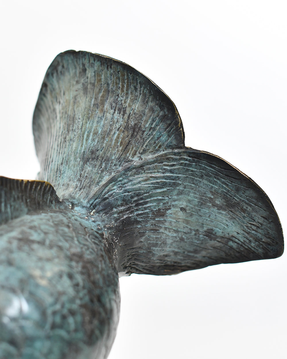 Bronze Komorebi Fantail Tail Up Close