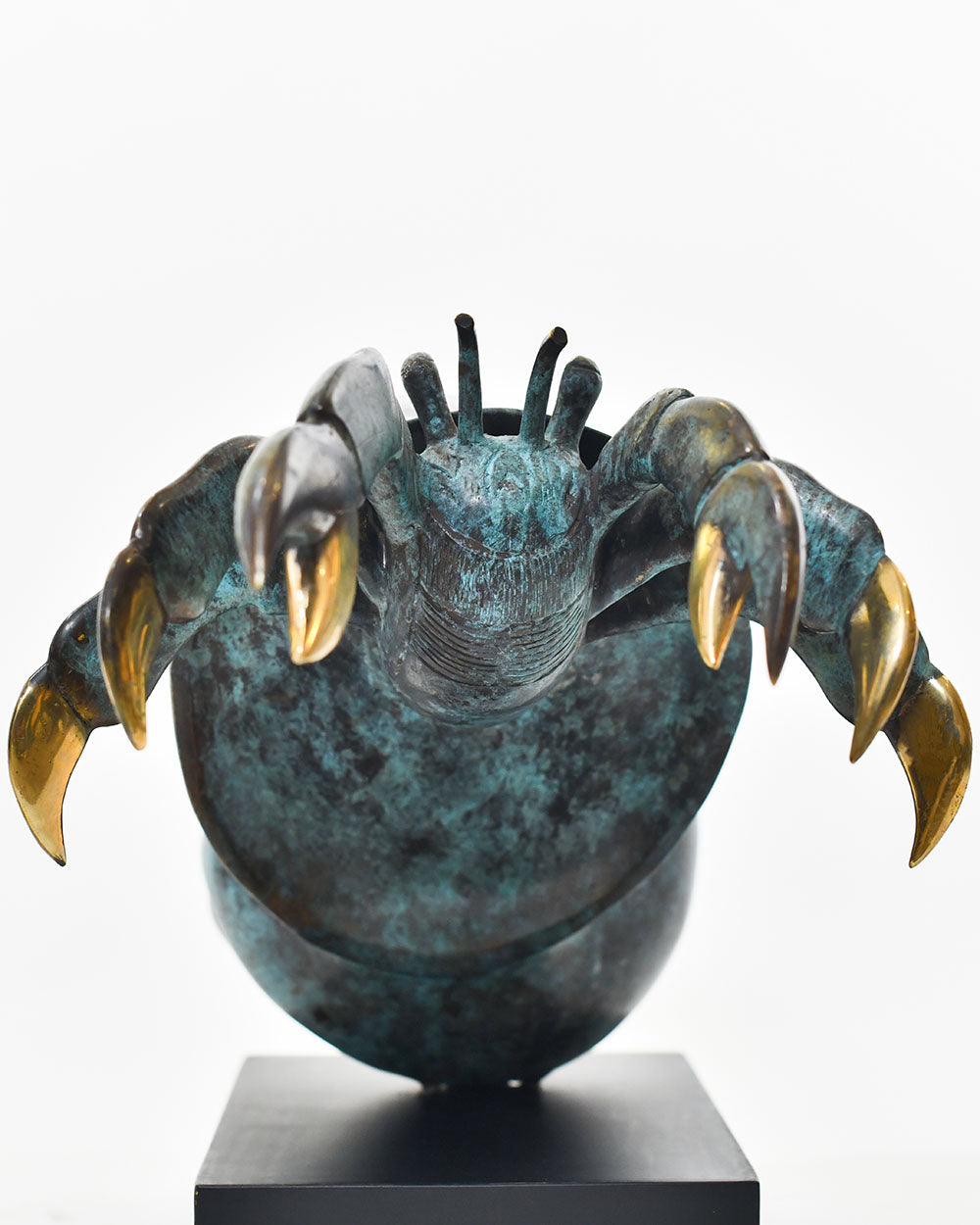 Close Up Detils Of The Bronze Shoreline Wanderer Hermit Crab Ornament