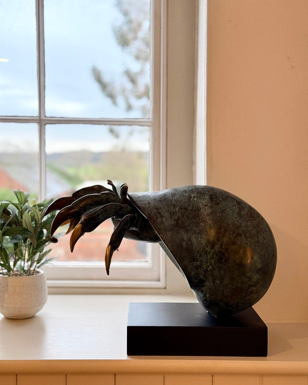 Bronze Shoreline Wanderer Hermit Crab In The Home