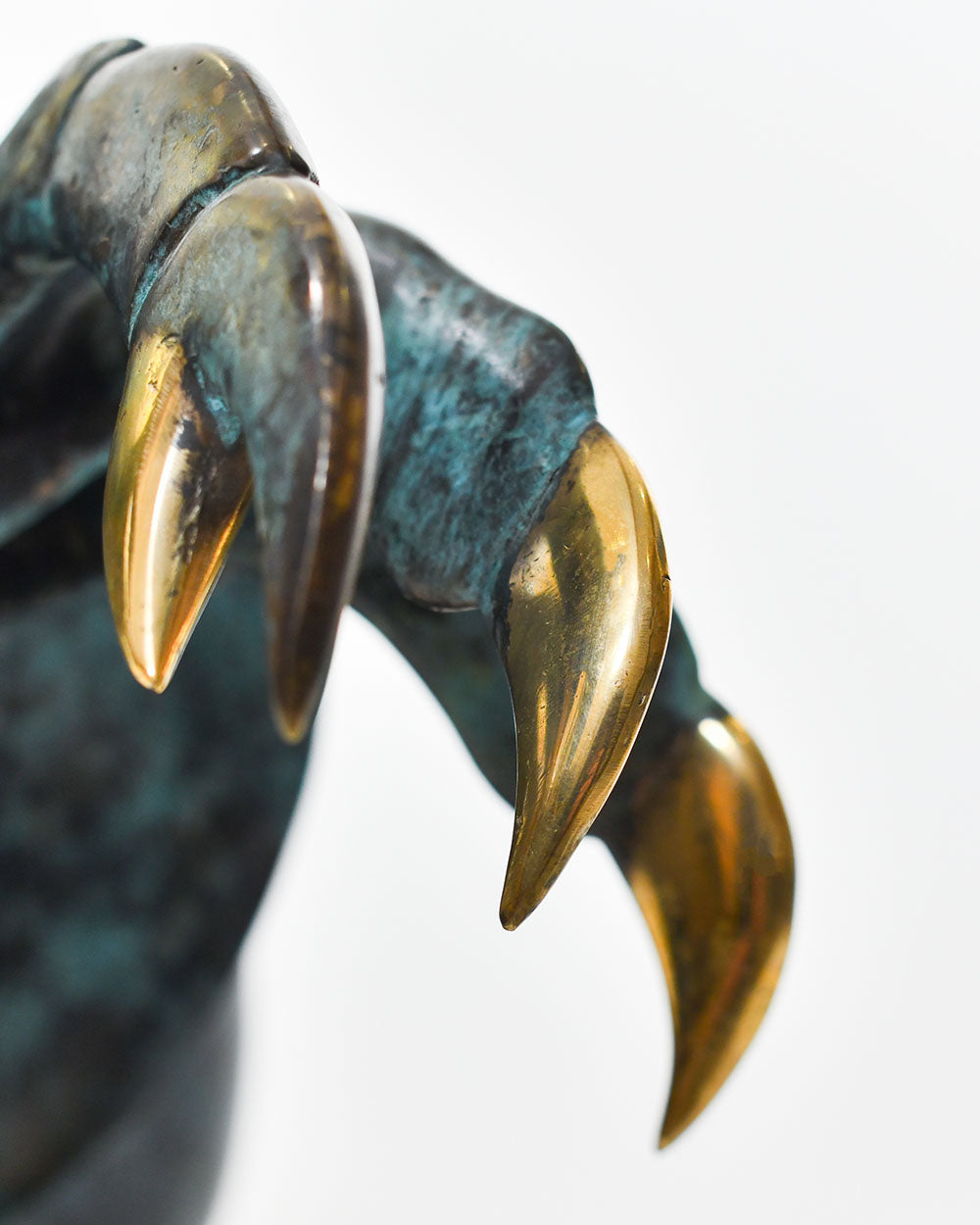 Bronze Shoreline Wanderer Hermit Crab Details