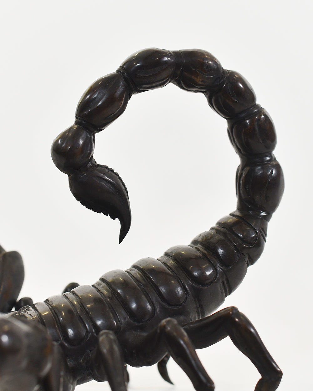 Brass Hues Featured On The Bronze Skarab Scorpion