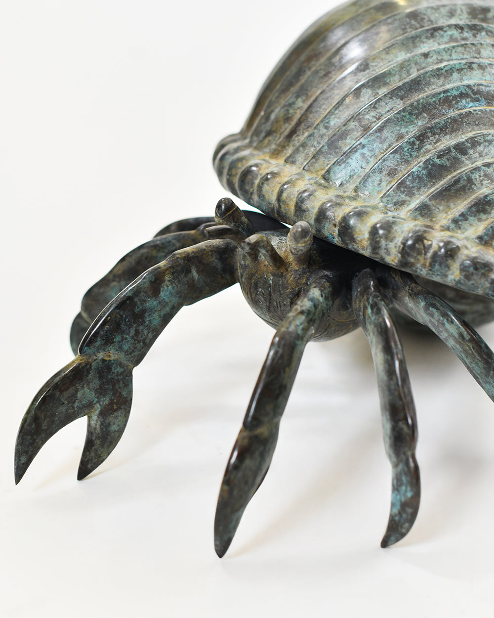 Bronze Tidal Voyager Hermit Crab Close Up Of The Face