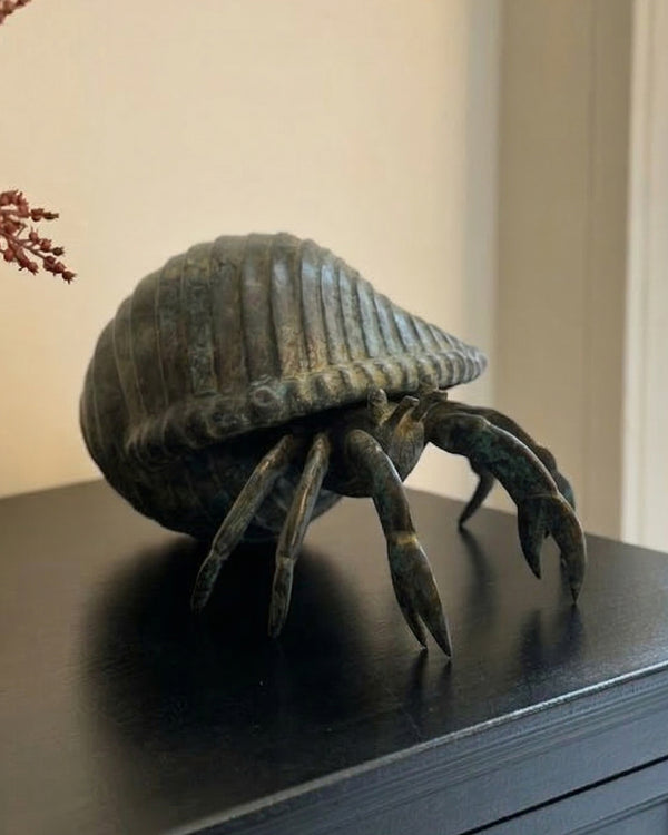 Bronze Tidal Voyager Hermit Crab
