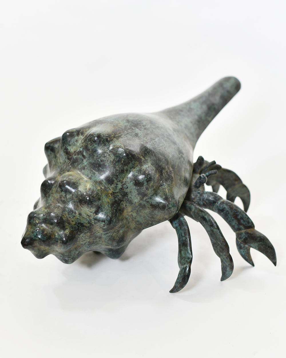 Close Up Of The Shell From thw Bronze Verdigris Voyager Hermit Crab