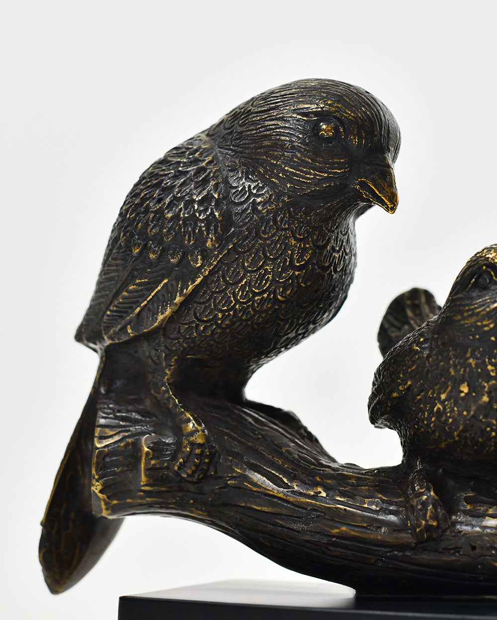 Close Up Of The brass Hues On The Bronze Springtime Melody Songbirds