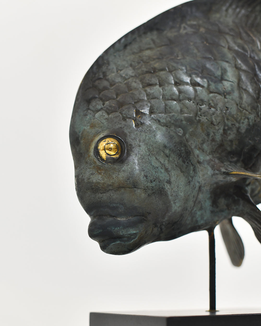 Close Up Of The Verdigris Fish Ornament