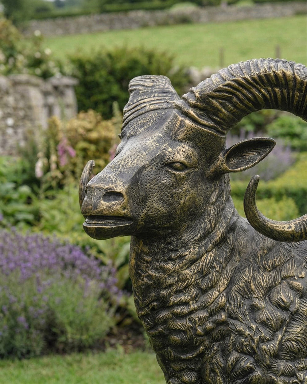 Close Up Of The Ram Sculpture Digital Illustration