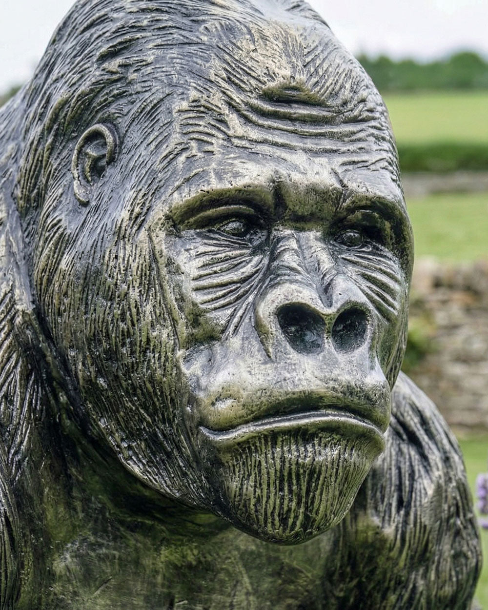 Close Up Of The Gorilla Garden Sculpture Digital Illustration