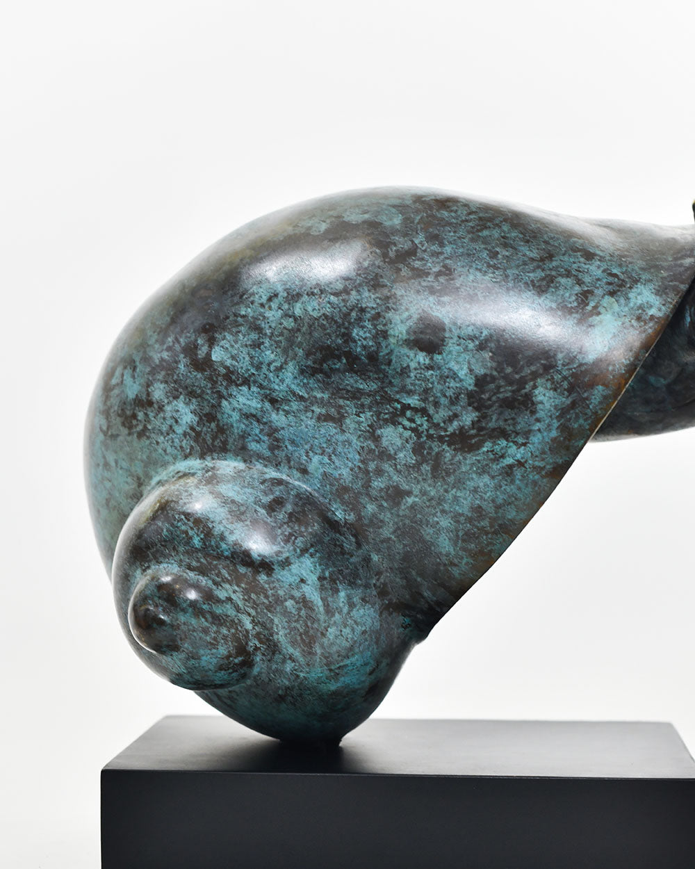 Close Up Of The Shell From The Bronze Hermit Crab Ornament