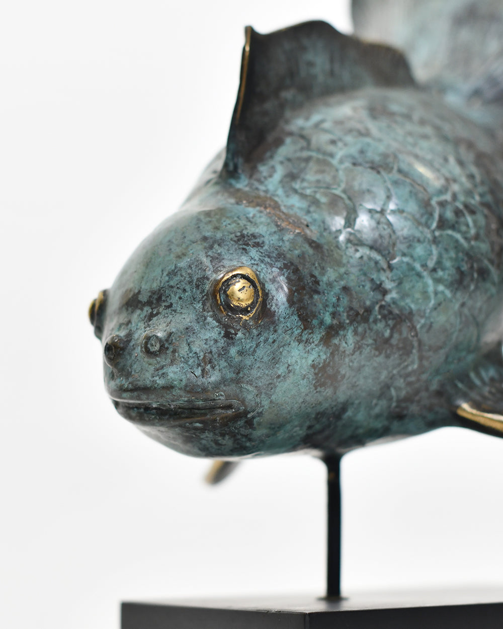 Face From The Bronze Komorebi Fantail
