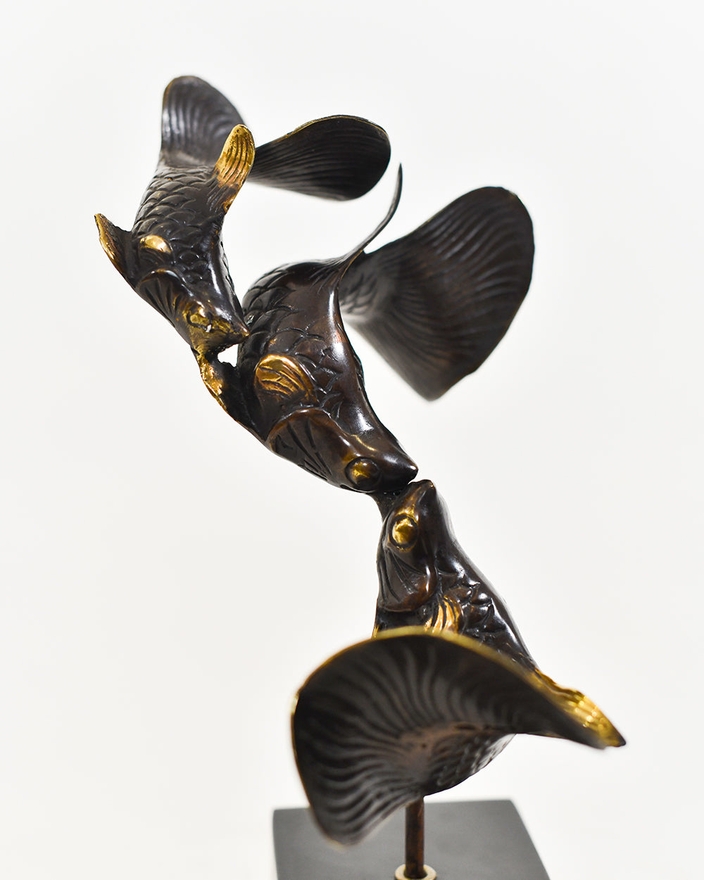 Close Up Of The Intricate Koi Fish Home Decoration