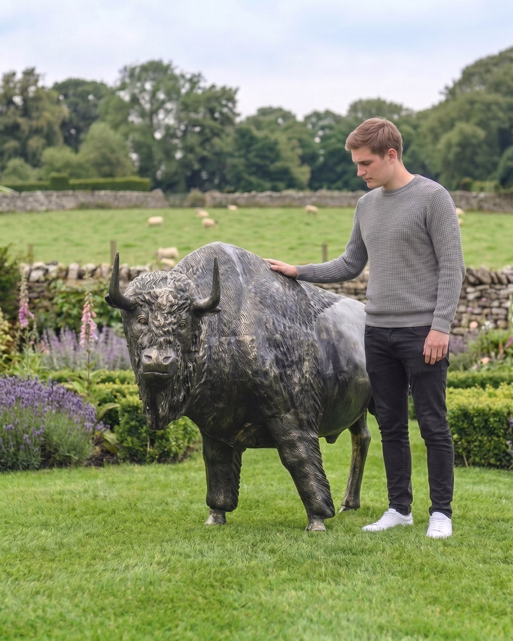 Scale Of The Blackwood Bison