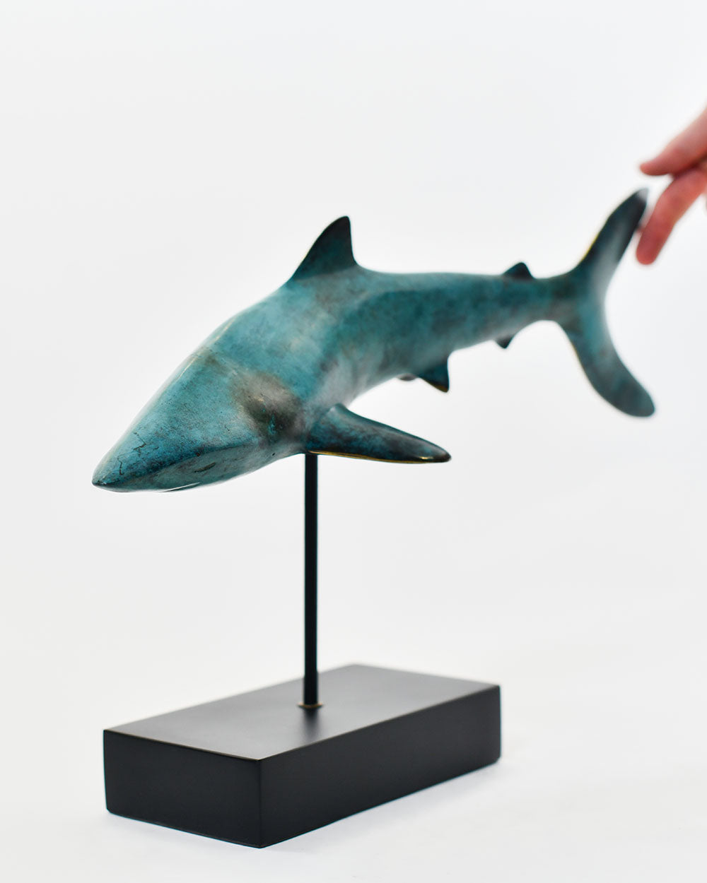 Scale Of The Bronze Shark Interior Decoration