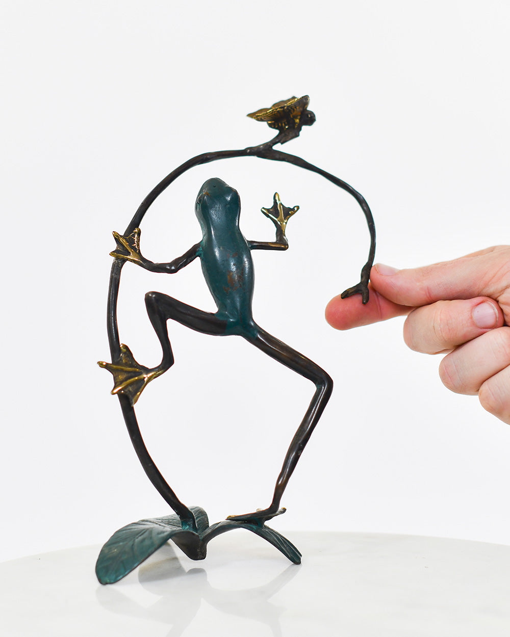 Scale Of The Bronze Canopy Climber Tree Frog Decoration