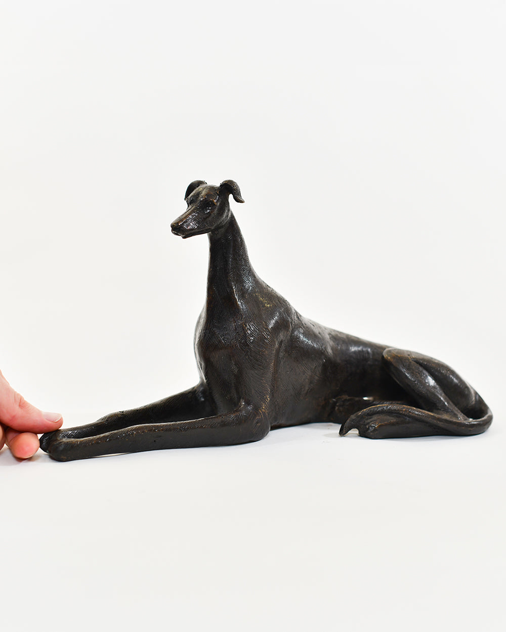 Scale Of The Bronze Linden Elegant Greyhound Interior Decoration