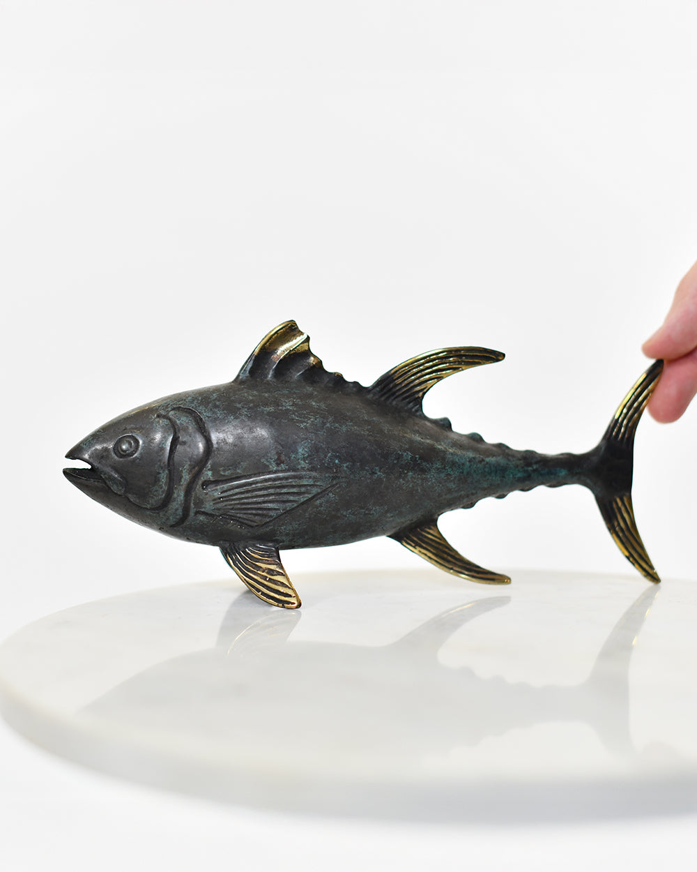 Scale Of The Ornate Maritime Accent Tuna
