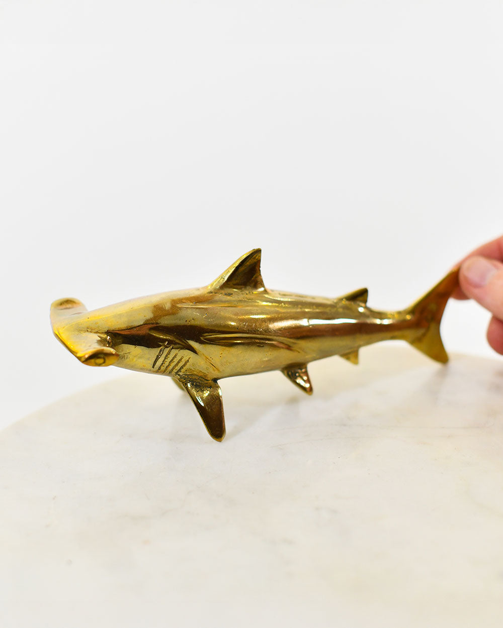 Scale Of The Polished Brass Bronze Ocean Guardian Hammerhead