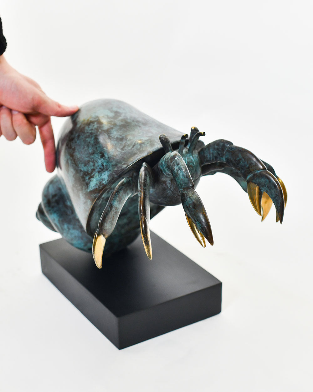 Scale Of The Bronze Shoreline Wanderer Hermit Crab Ornament