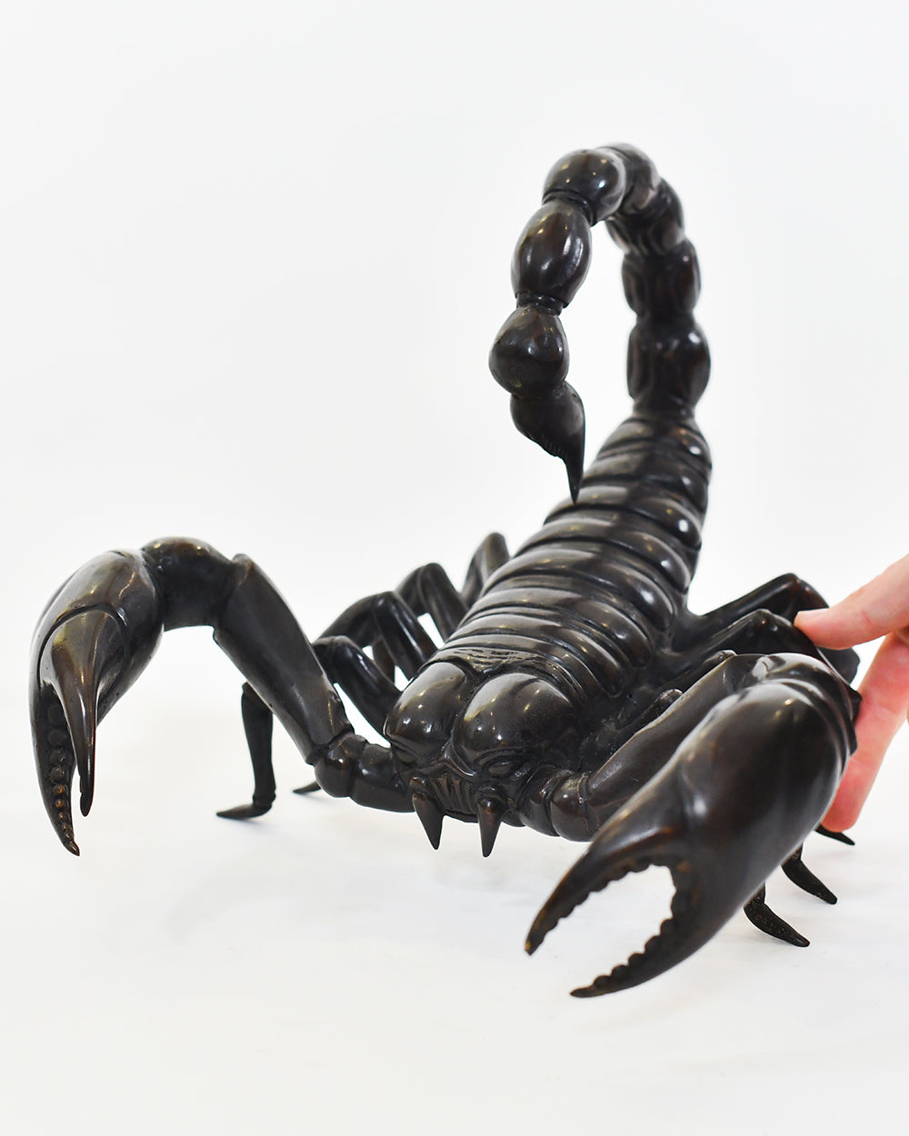 Scale Of The Bronze Scorpion Interior Sculpture