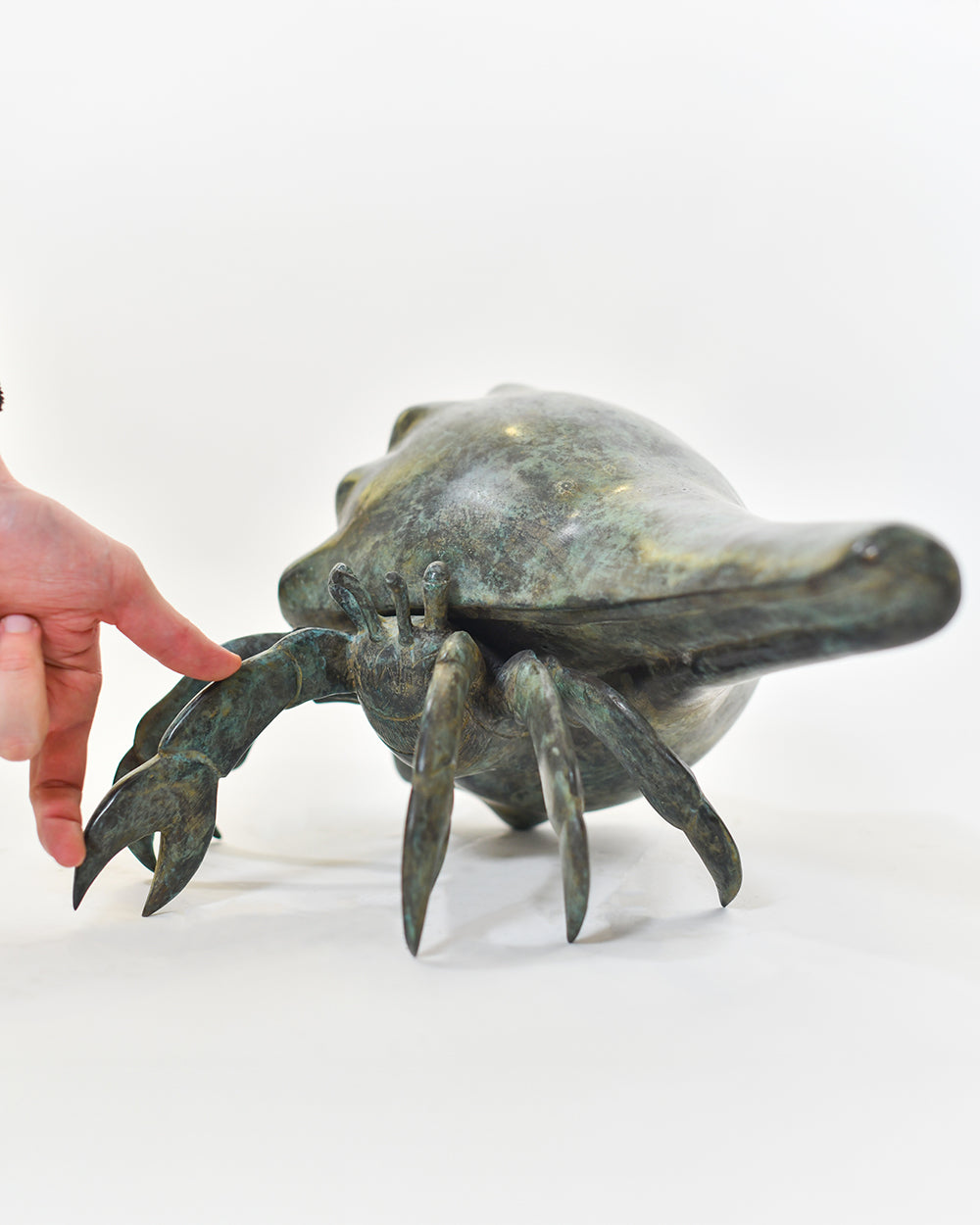 Scale Of The Bronze Hermit Crab Interior Sculpture