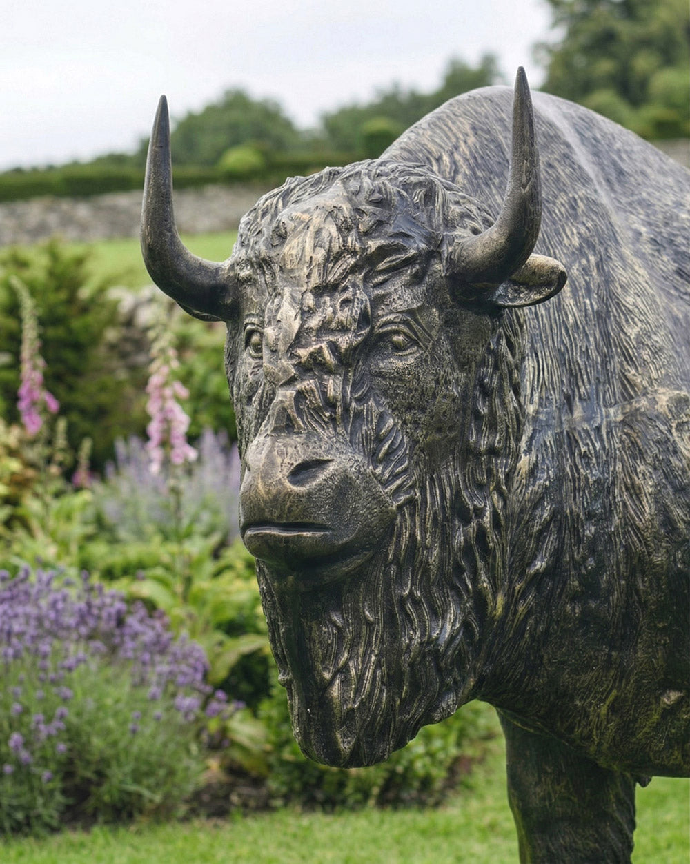 Close Up Details Of The Blackwood Bison Digital Illustration