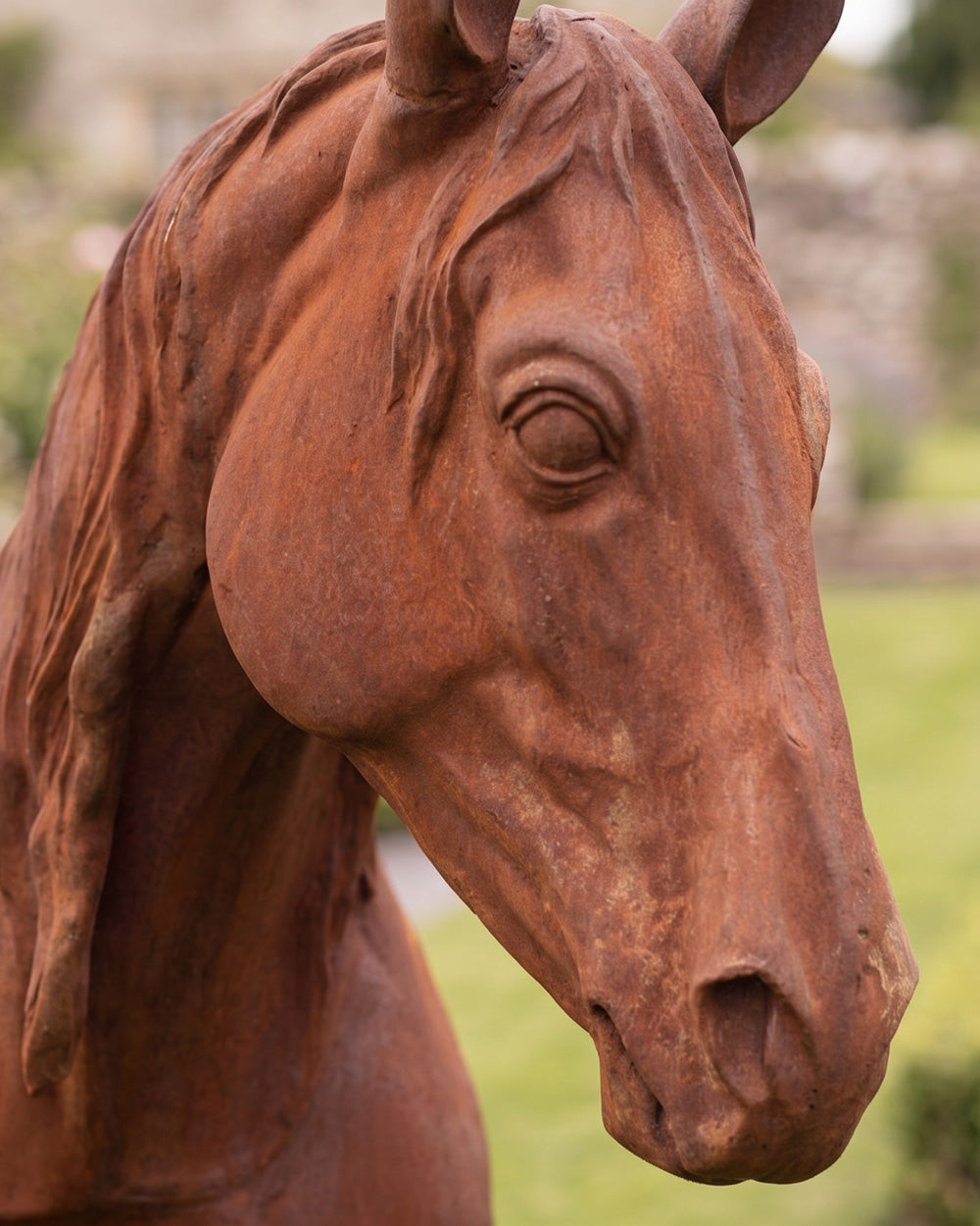 The Earthbound Stallion Face Up Close