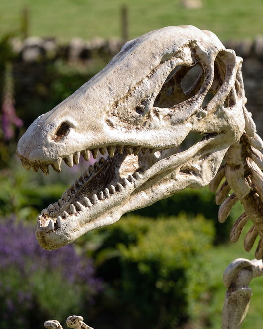 The Fossilised Hunt Close Up Details